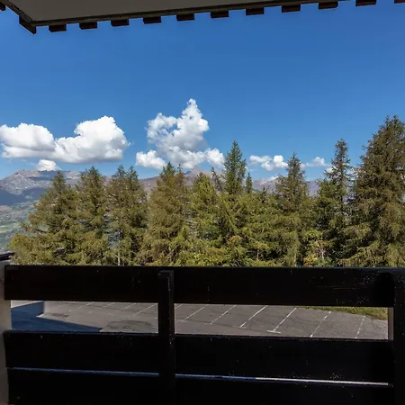 La Plagne, 1 Pièce, 4 Personnes - Fr-1-353-36 Appartement *